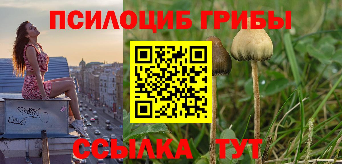 Холмск  Псилоцибиновые грибы Psilocybe  Галлюциногенные грибы мицелий  Вход с VPN 